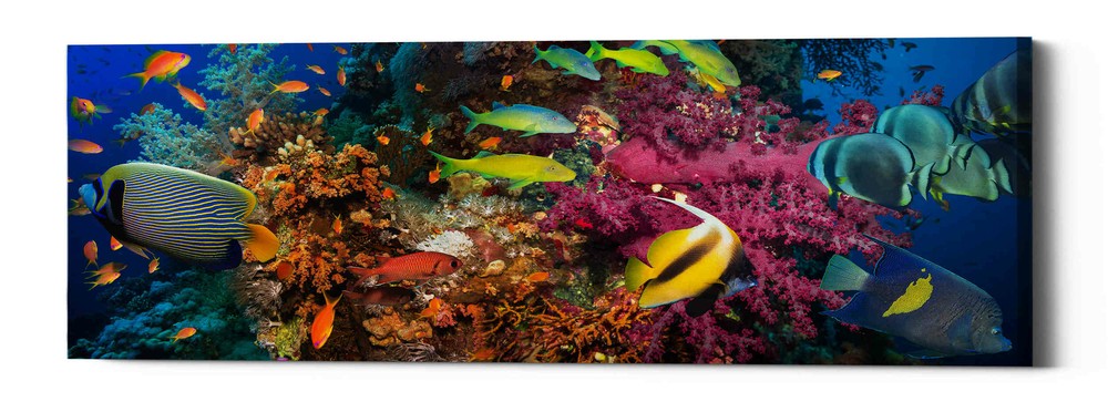 Epic Graffiti 'Passage to Sea' Giclee Canvas Wall Art