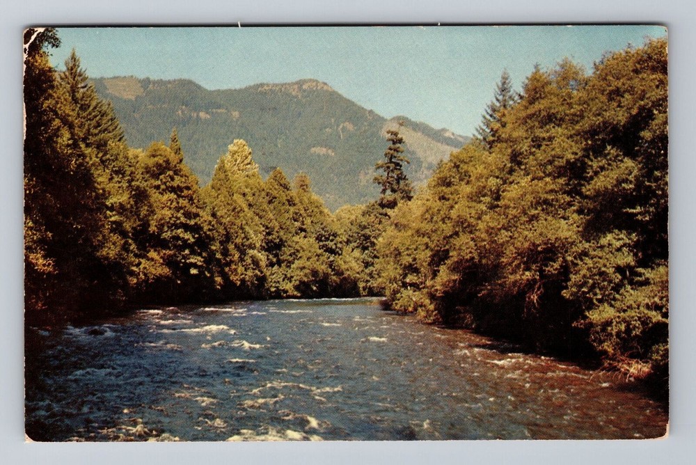 Oregon OR McKenzie River Scenic View Vintage Postcard