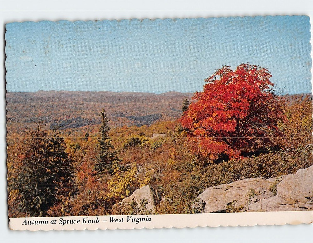Postcard Autumn at Spruce Knob West Virginia USA
