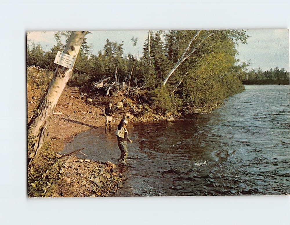 Postcard Salmon Fishing on the Upper Humber River in Newfoundland Canada