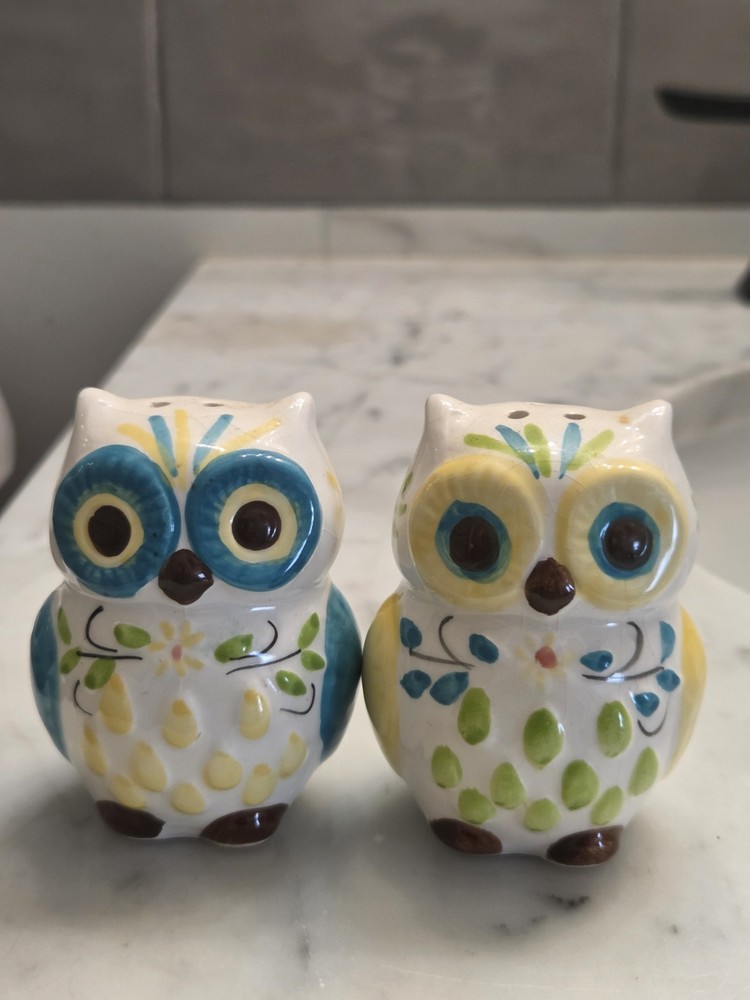 Floral Owl Salt & Pepper Shakers, Hand-painted Ceramic by Boston Warehouse