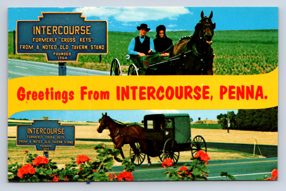 Vintage postcard Intercourse PA Amish horse and buggy