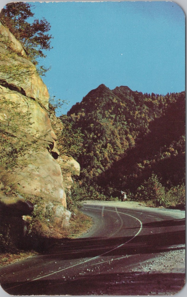 National & State Parks~Great Smoky Mountains~Rocky Point Turn~Vintage Postcard