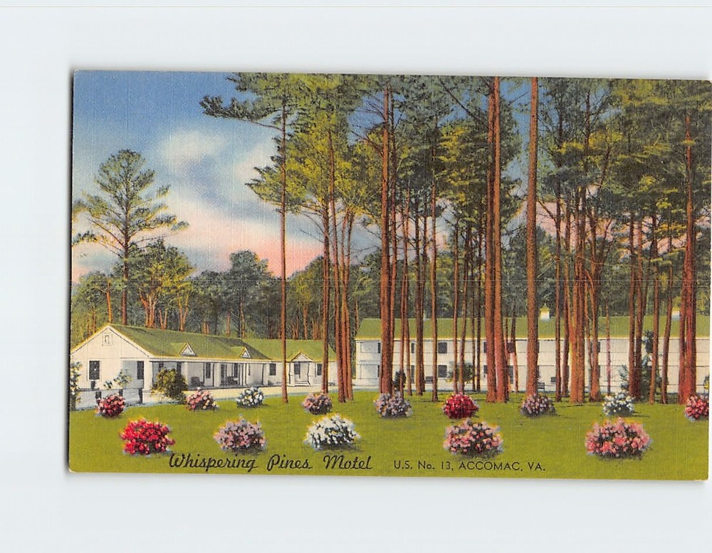 Postcard Whispering Pines Motel Accomac Virginia USA