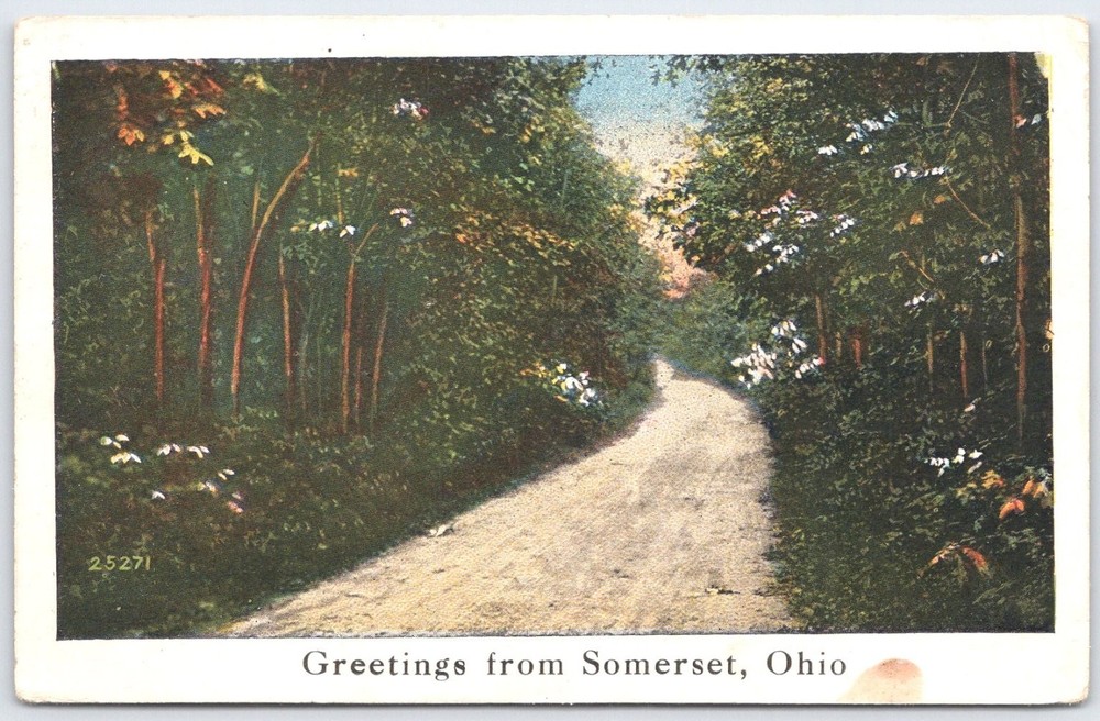 Vintage Greetings from Somerset Ohio Scenic Tree-Lined Road Postcard 1921