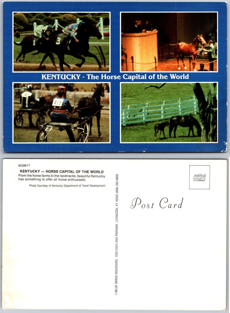 Continental Kentucky Horse Capital Postcard