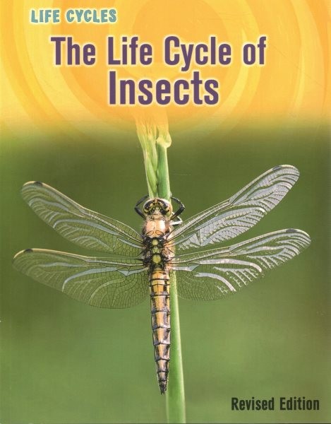 Life Cycle of Insects, Paperback by Gray, Susan H., Brand New, Free shipping ...