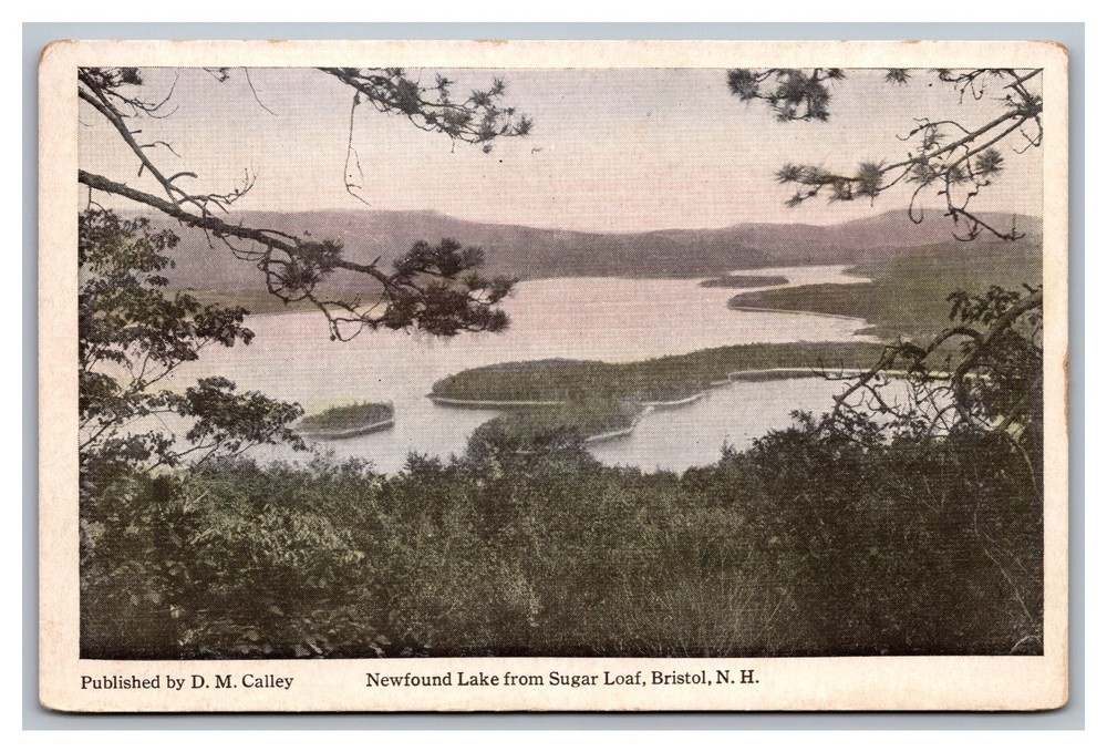 Bristol NH Newfound Lake from Sugar Loaf Aerial View White Border Postcard