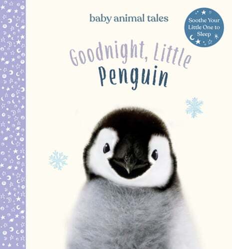 Goodnight, Little Penguin: A Board Book by Amanda Wood: Used
