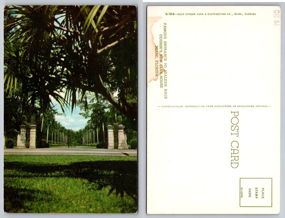 Hialeah Race Course Miami Florida Entrance Vintage Curteichcolor Postcard