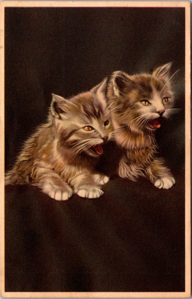 Antique Postcard Two Cats Kittens Cat Kitten Cute Animals