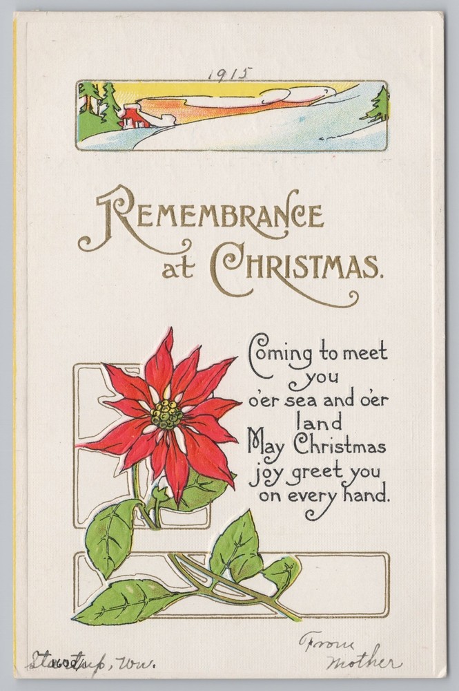 Holiday~Christmas~Winter Landscape~Poinsettias~Vintage Postcard