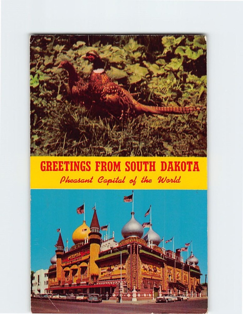 Postcard Pheasant & Corn Palace Greetings from South Dakota USA