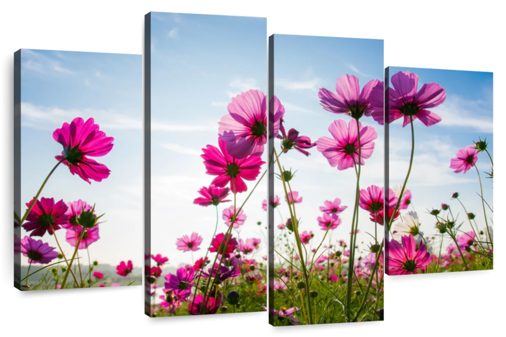 Wild Cosmos Flowers Wall Art