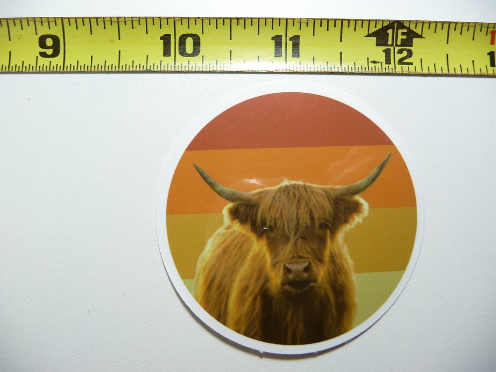 Scottish Highland Cow Sun Band Decal Sticker for Laptop Ranch Scotland Funny Cattle