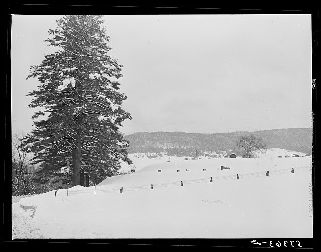 Photo:Franconia Notch New Hampshire 1940 Skier on Cannon Mountain Summit