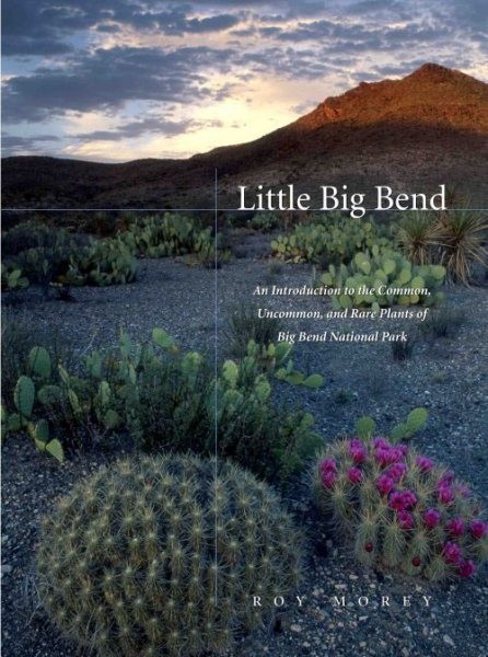 Little Big Bend : Common, Uncommon, and Rare Plants of Big Bend National Park...