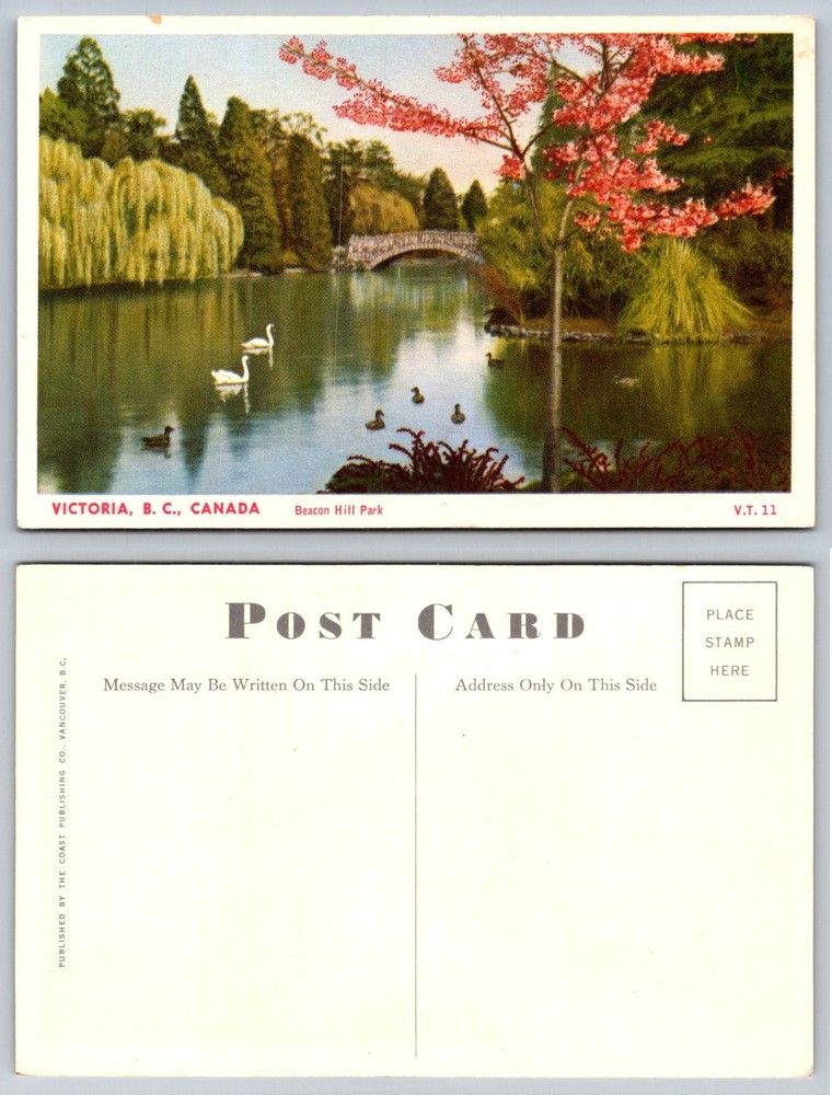 Vintage Beacon Hill Park Victoria BC Canada Swans Stone Bridge Postcard