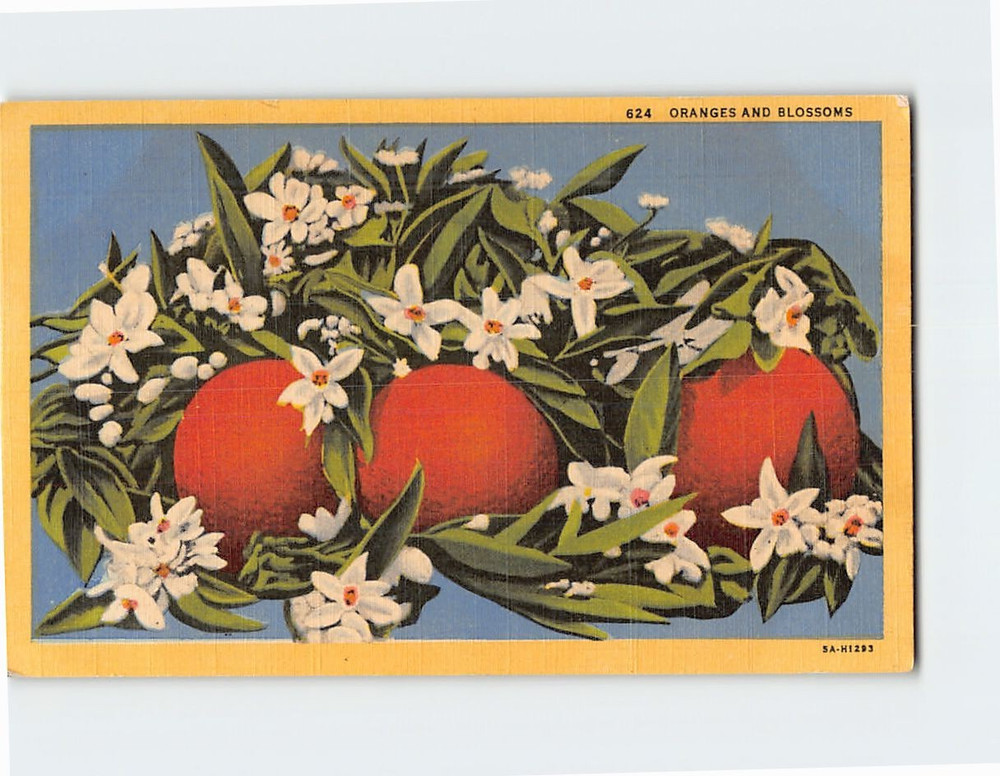 Postcard Oranges & Blossoms Art Print