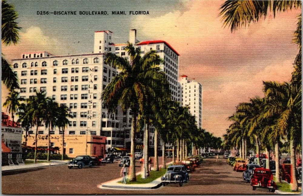 Vtg 1947 Miami FL Biscayne Blvd Palm Trees Cars Street Scene Postcard