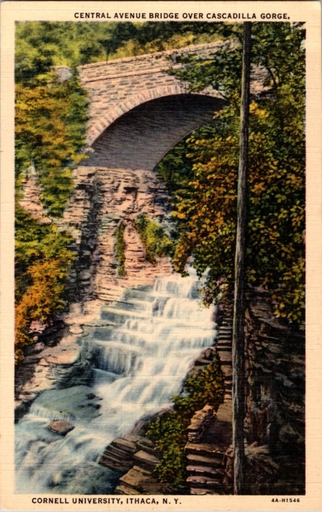 Linen CORNELL UNIVERSITY BRIDGE Ithaca New York NY m/14 BJ6526