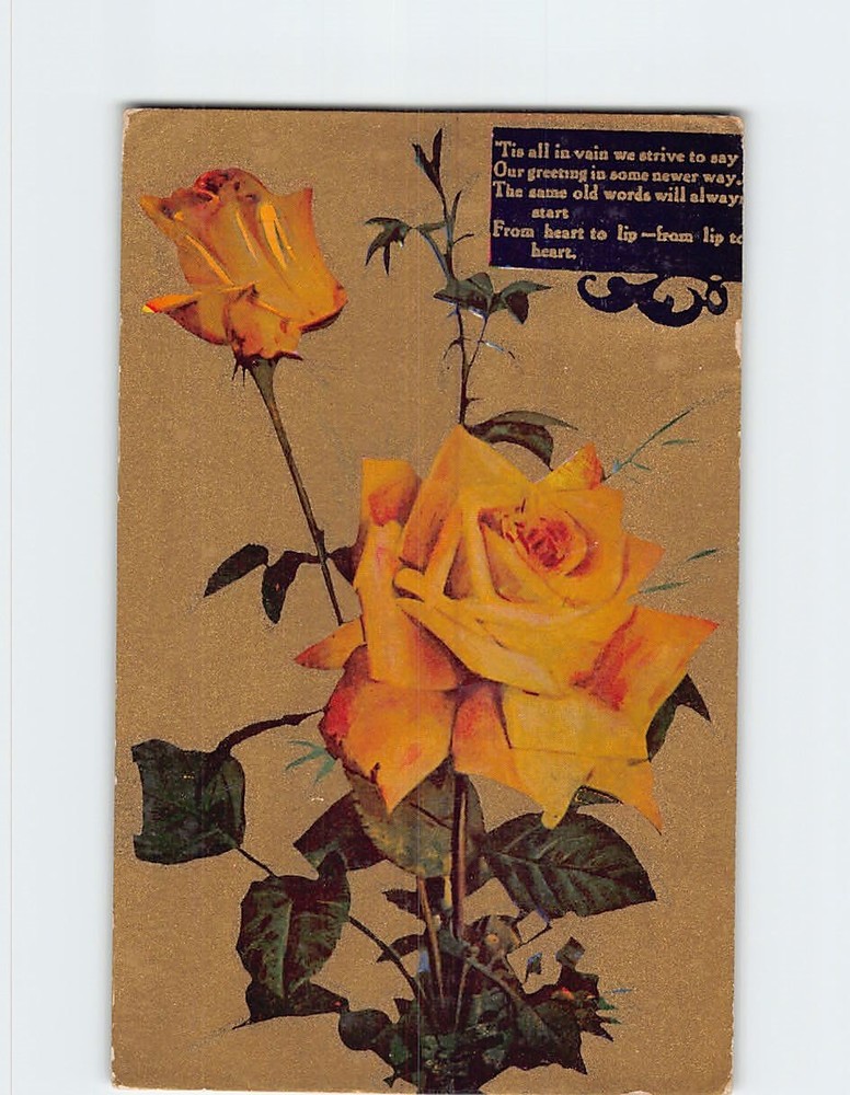 Postcard Yellow Roses Art Print Greeting Card