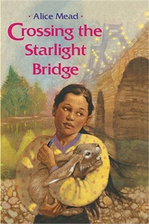 Crossing the Starlight Bridge (Paperback or Softback)