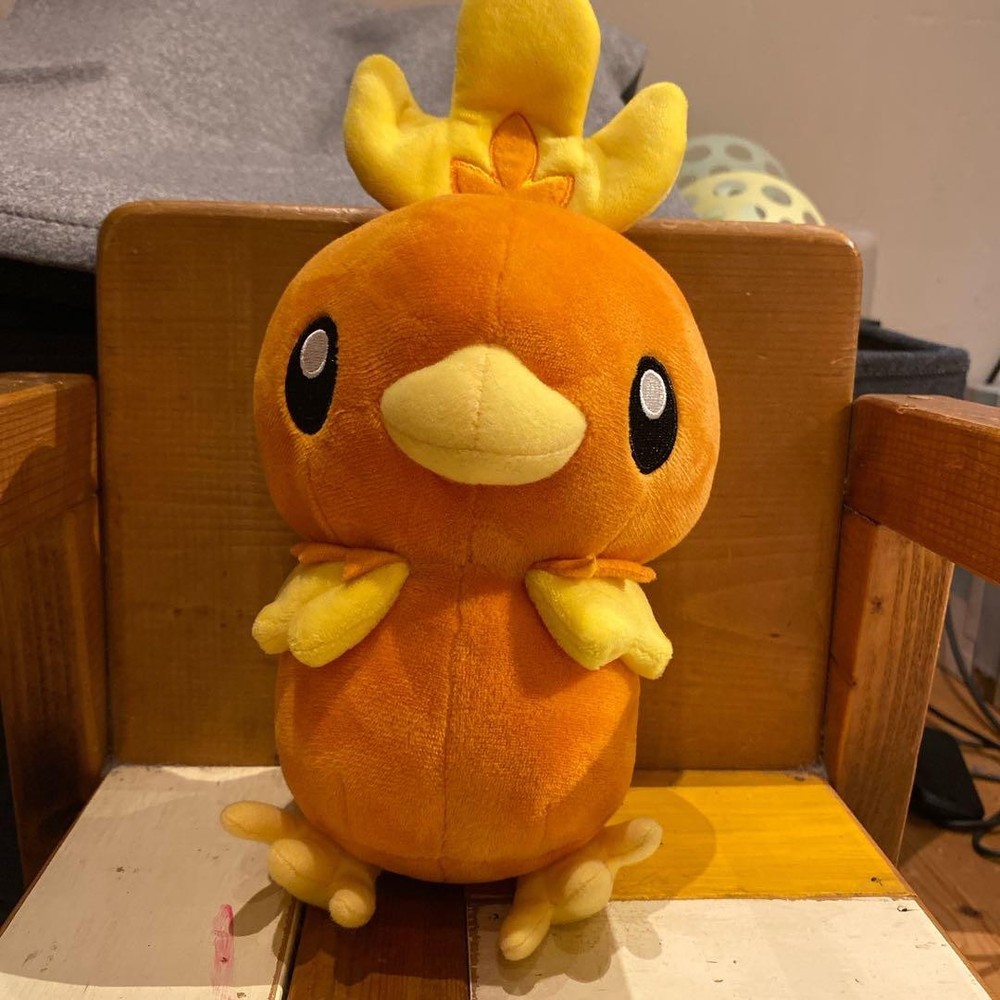 Pokemon Torchic Plush Toy 26cm Purchase Pokemon center japan limited RARE