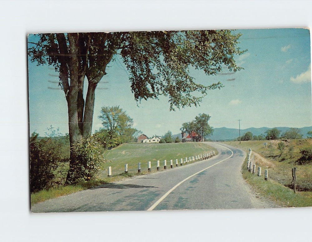 Postcard Scenic Country Road Nature Scene