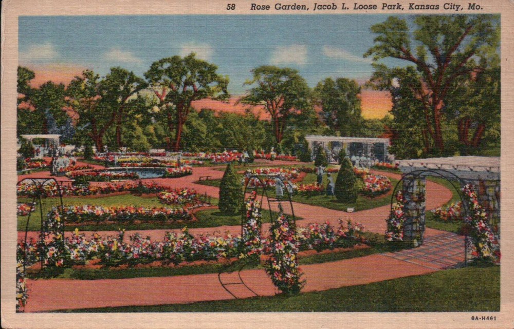 Rose Garden Jacob L Loose Park Kansas City MO -- Standard Vintage Linen Postcard