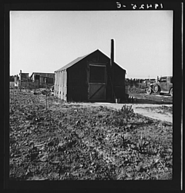 Salinas California 1939 Migrant Lettuce Workers Settlement Dorothea Lange