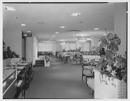 Miami Florida Burdines Department Store Tearoom 1957 Interior Shopping Center