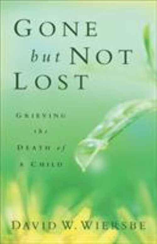 Gone but Not Lost : Grieving the Death of a Child Paperback David