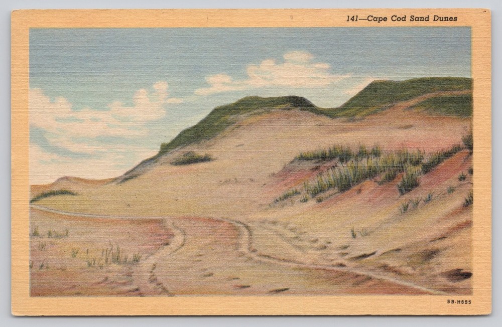 Vintage Linen Postcard - Cape Cod Sand Dunes, Massachusetts - Curteich