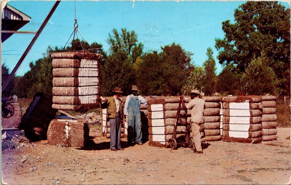 Vintage 1956 McClanahan & McCreight Cotton Gin Postcard Tennessee TN