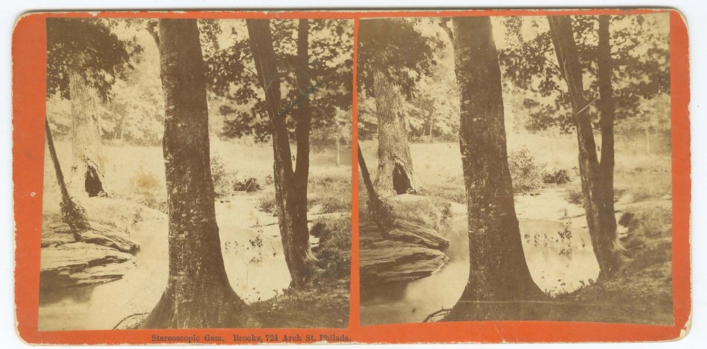 G2083~ PHILADELPHIA – Woods in Germantown c.1870s Stereoview