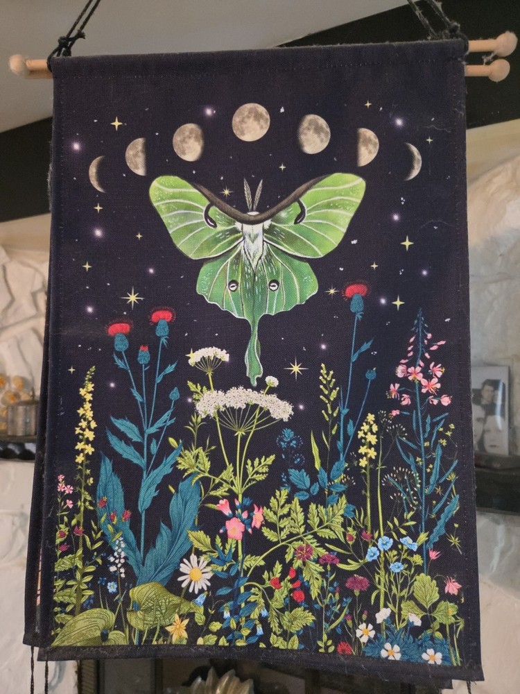 12x 24 Tapestry With Phases Of The Moon And Butterflies And Flowers