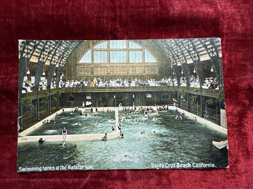 Antique 1900s Santa Cruz Beach CA swimming tanks Natorium park postcard Unused