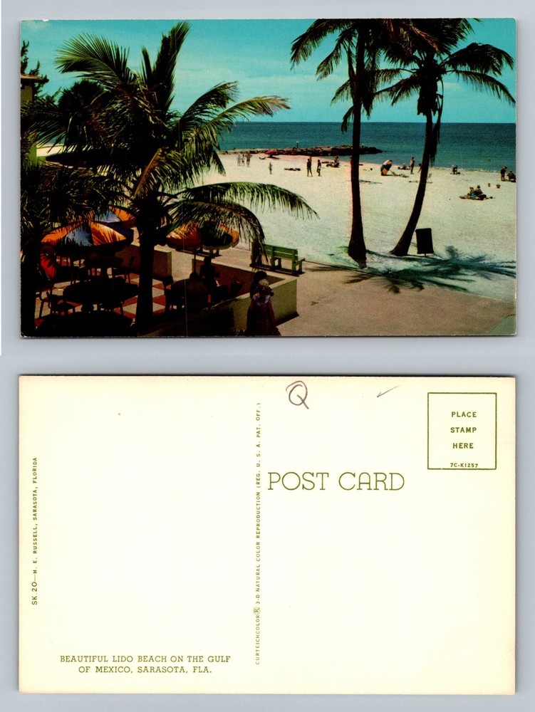 Sarasota, FL-Florida Lido Beach Palm Trees Gulf of Mexico Scene Vintage Postcard