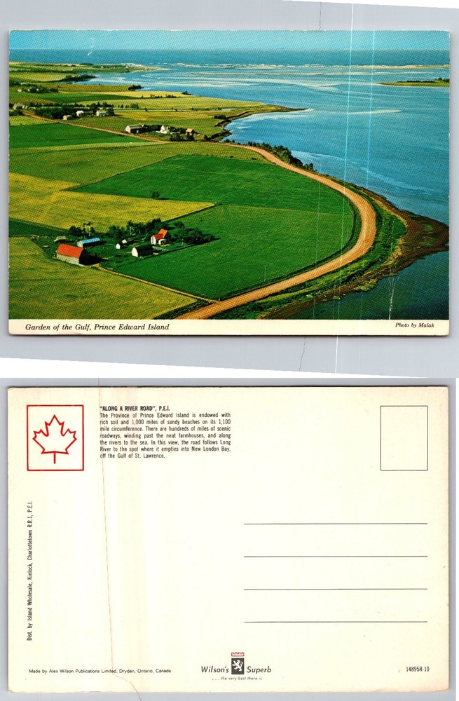 Vintage Prince Edward Island PEI Long River Road Wilson's Superb Postcard