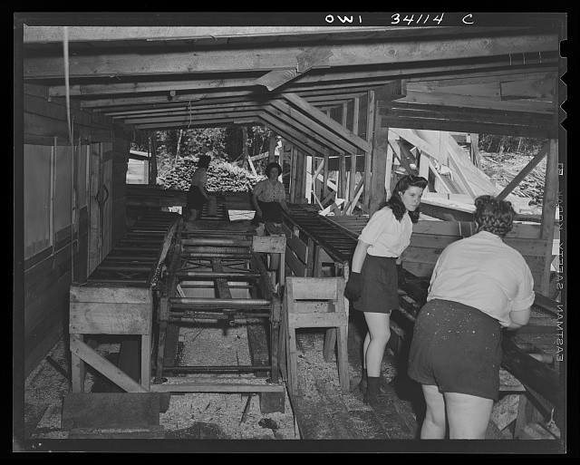 Photo:Women at Work Lumber Mill Interior 1930s Photograph