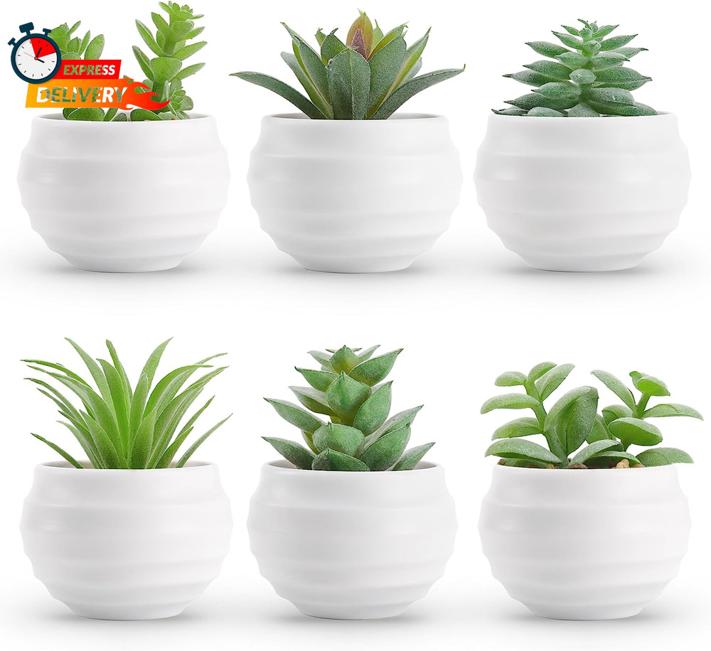 Der Rose Set of 6 Succulents Plants Artificial in Pots Small Fake Plants for Bed