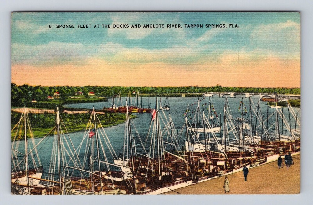 Tarpon Springs FL-Florida, Sponge Fleet At Docks, Anclote River Vintage Postcard