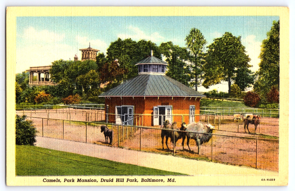 Baltimore Maryland Camel Park Mansion Druid Hill Park Vintage Linen Postcard USA