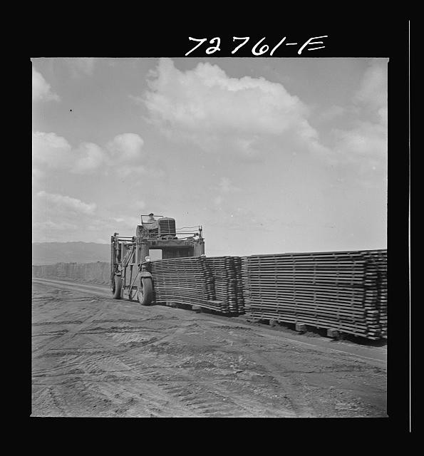 Photo:Salinas California 1942 Duckboards to Guayule Nursery Truck Loading