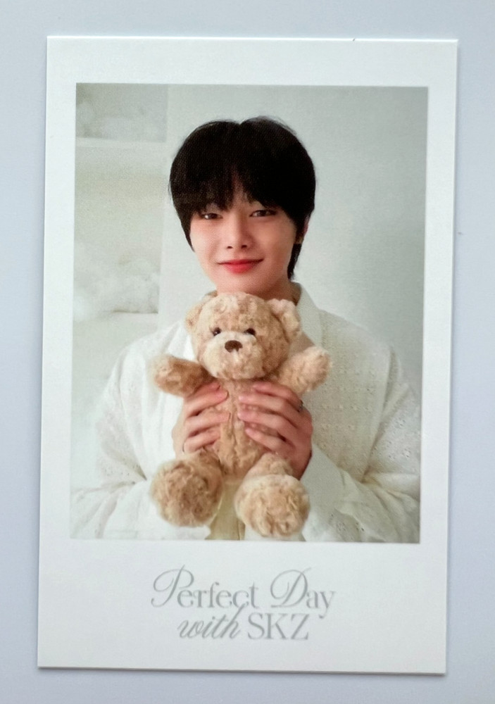 STRAY KIDS I.N [2024 Season's Greetings Perfect Day with SKZ Photocard] /K-POP