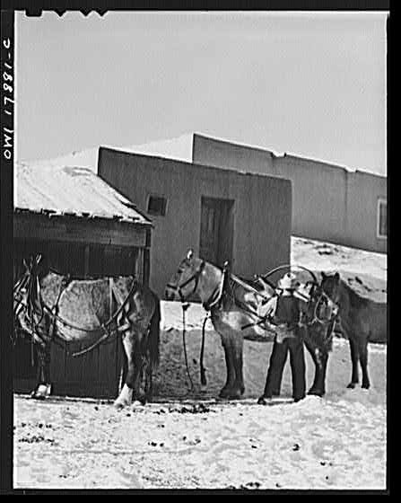 Trampas New Mexico Juan Lopez Harnessing Team 1900s Snowy Ranch Scene