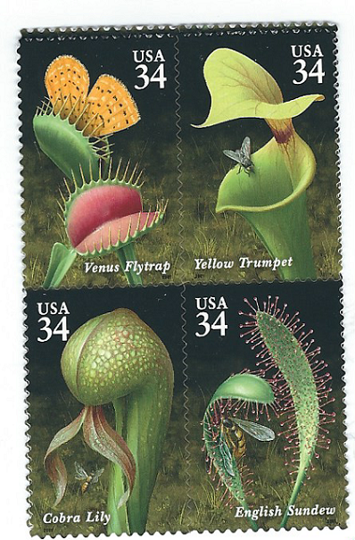 Scott # 3528/31...34 Cent.....Carnivorous Plants... Block or Strip of 4 In Order