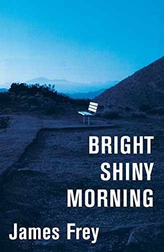 Bright Shiny Morning - Hardcover, by Frey James - Acceptable j