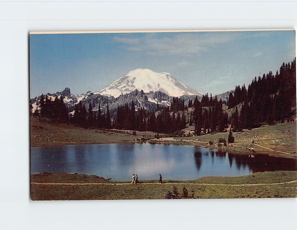 Postcard Mt. Rainier And Tipsoo Lake Rainier National Park Washington USA